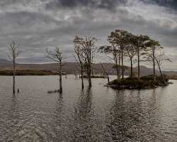 Landschappen